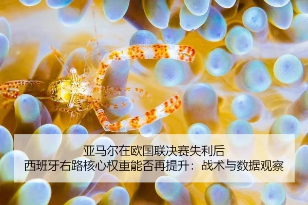 ya-ma-er-zai-ou-guo-lian-jue-sai-shi-li-hou-xi-ban-ya-you-lu-he-xin-quan-zhong-neng-fou-zai-ti-sheng-zhan-shu-yu-shu-ju-2-155.jpg